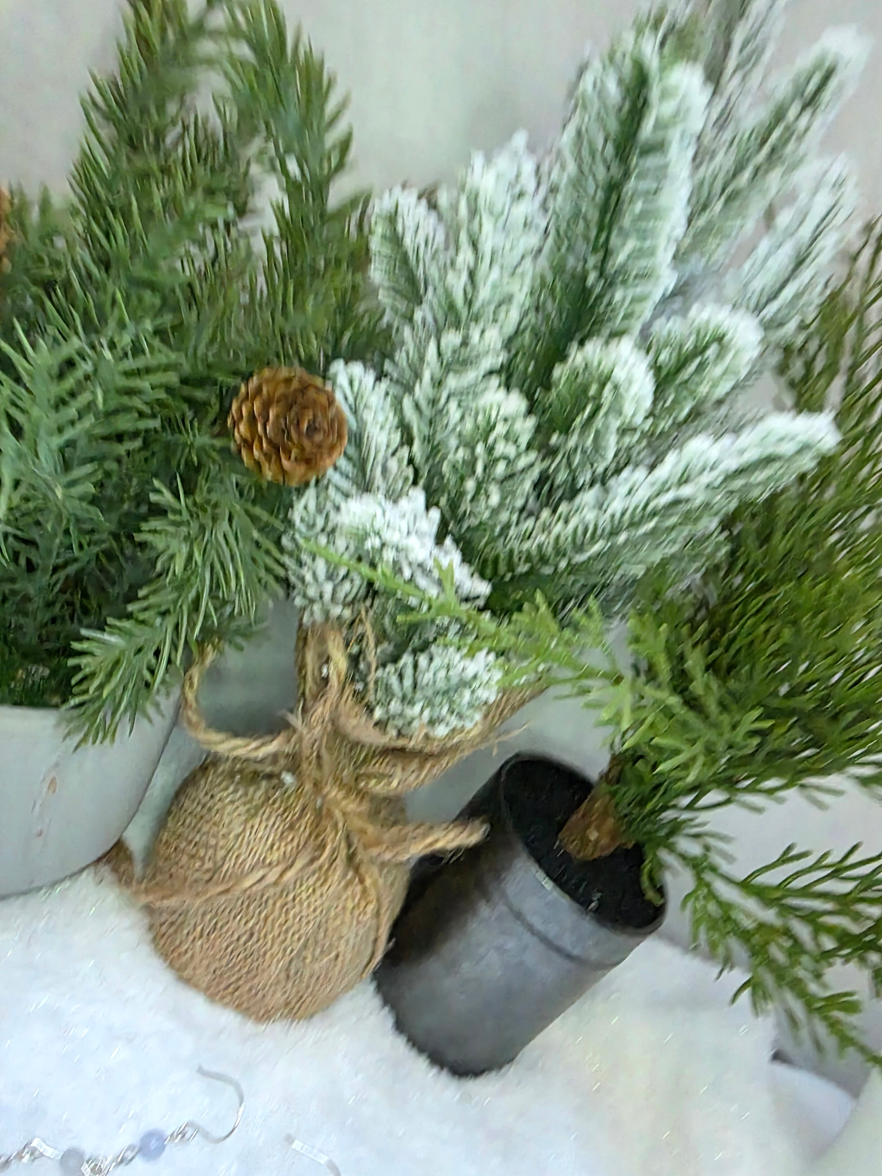 Blue Lace Agate Sterling Silver Dangle Earrings