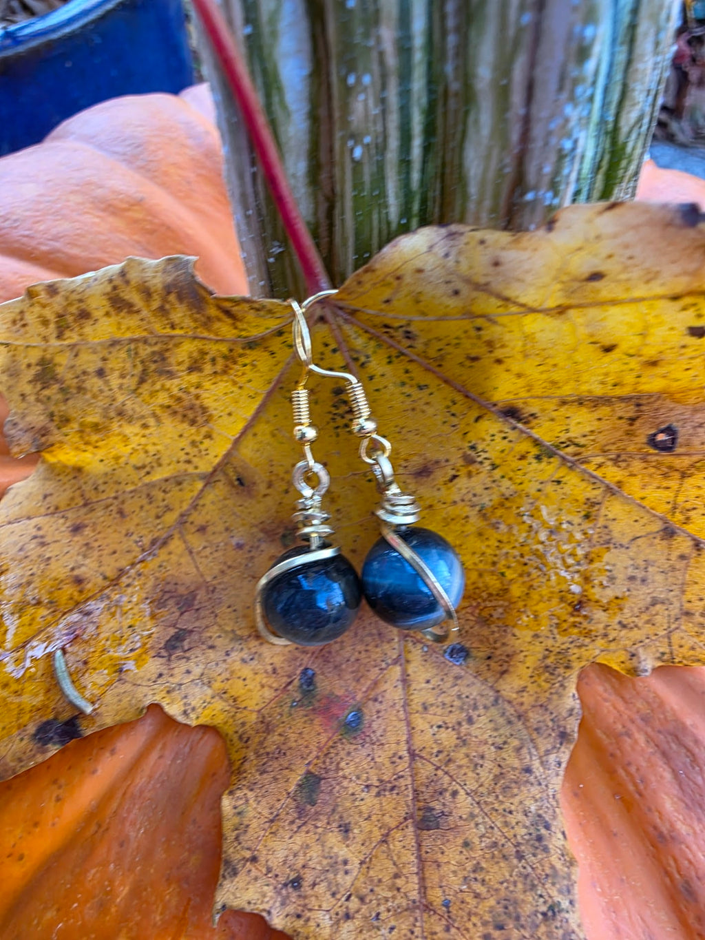 Blue and Gold Tigers Eye Earrings